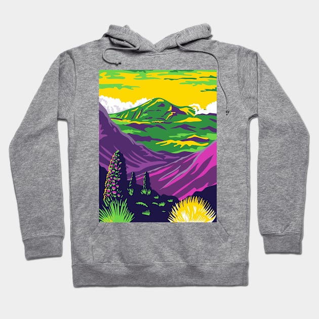 Haleakala National Park and Haleakala Volcano in Maui Hawaii United States WPA Poster Art Color Hoodie by patrimonio